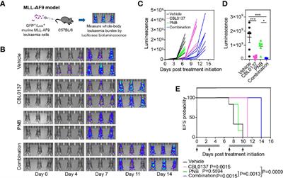 The Combination of Curaxin CBL0137 and Histone Deacetylase Inhibitor Panobinostat Delays KMT2A-Rearranged Leukemia Progression